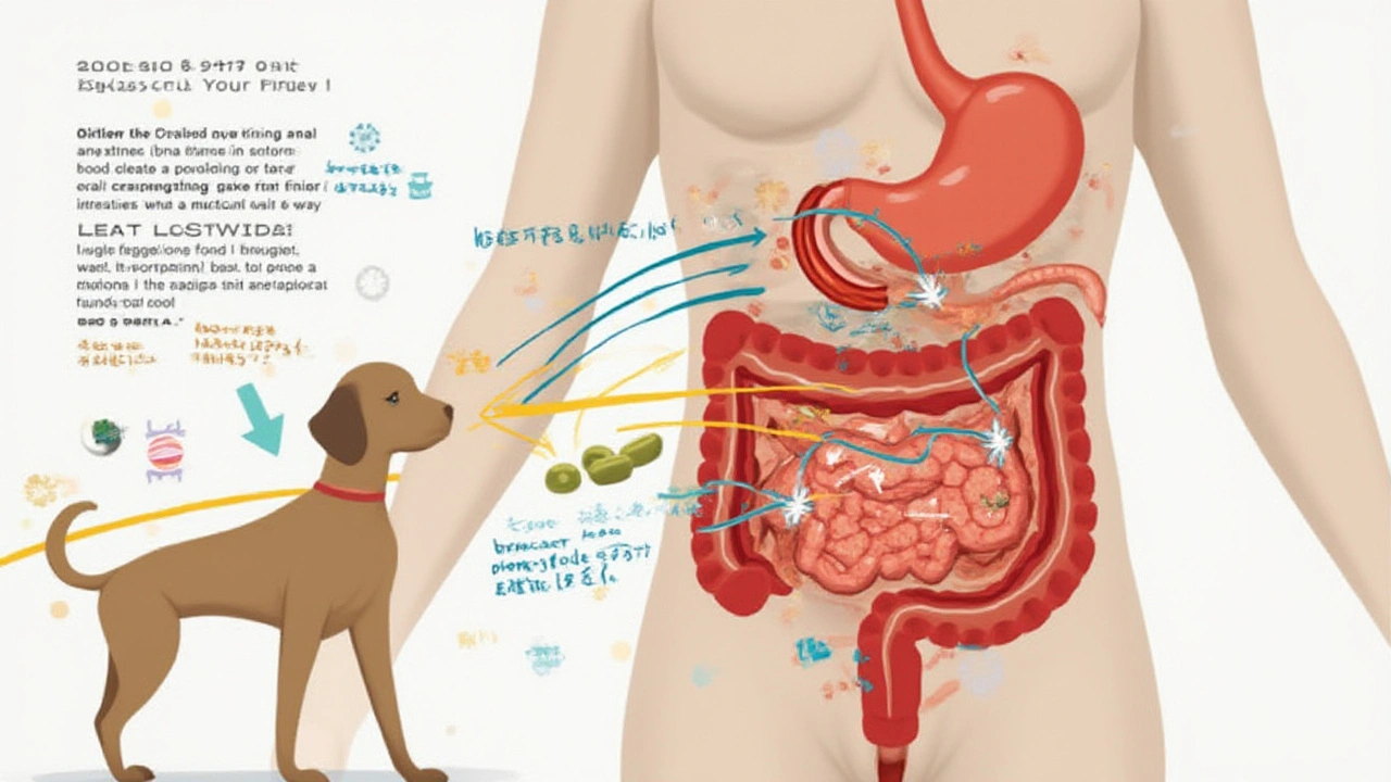 What Results Can You Expect on Orlistat?