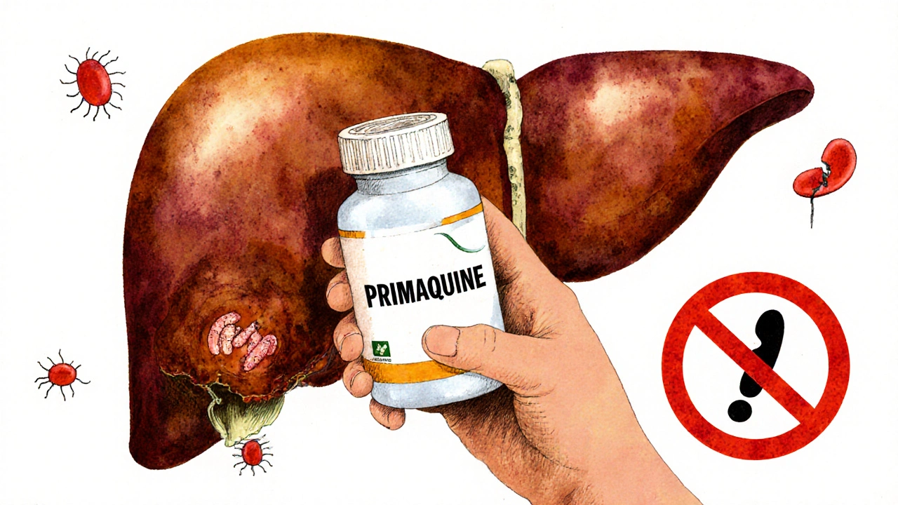 The Potential Side Effects of Primaquine: What You Need to Know